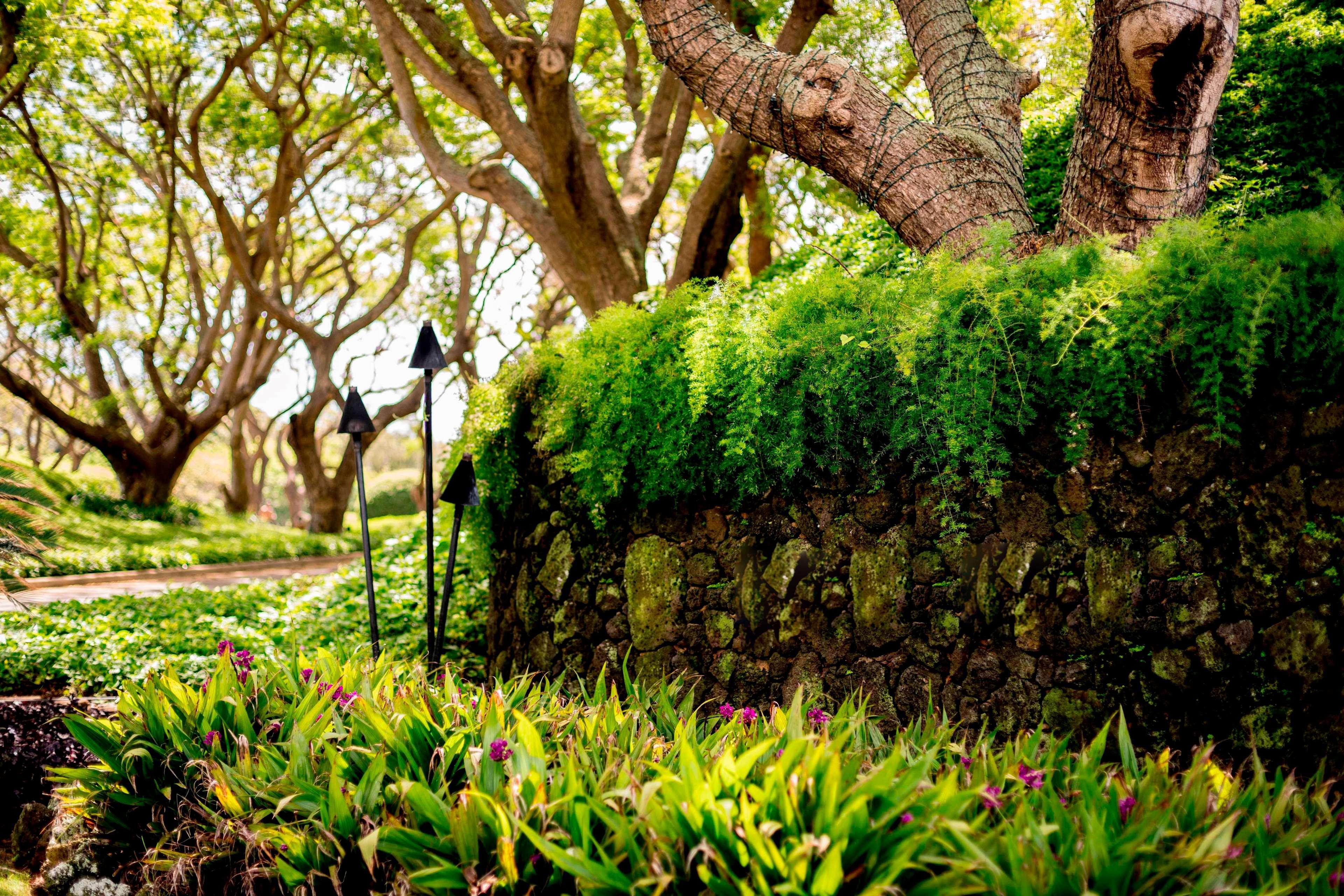 The Royal Sonesta Kauai Resort Lihue Exterior foto